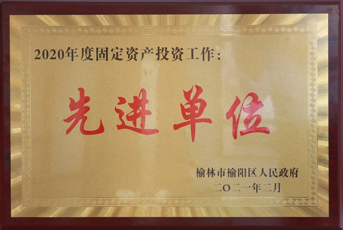2020年固定资产投资先进单元.jpg