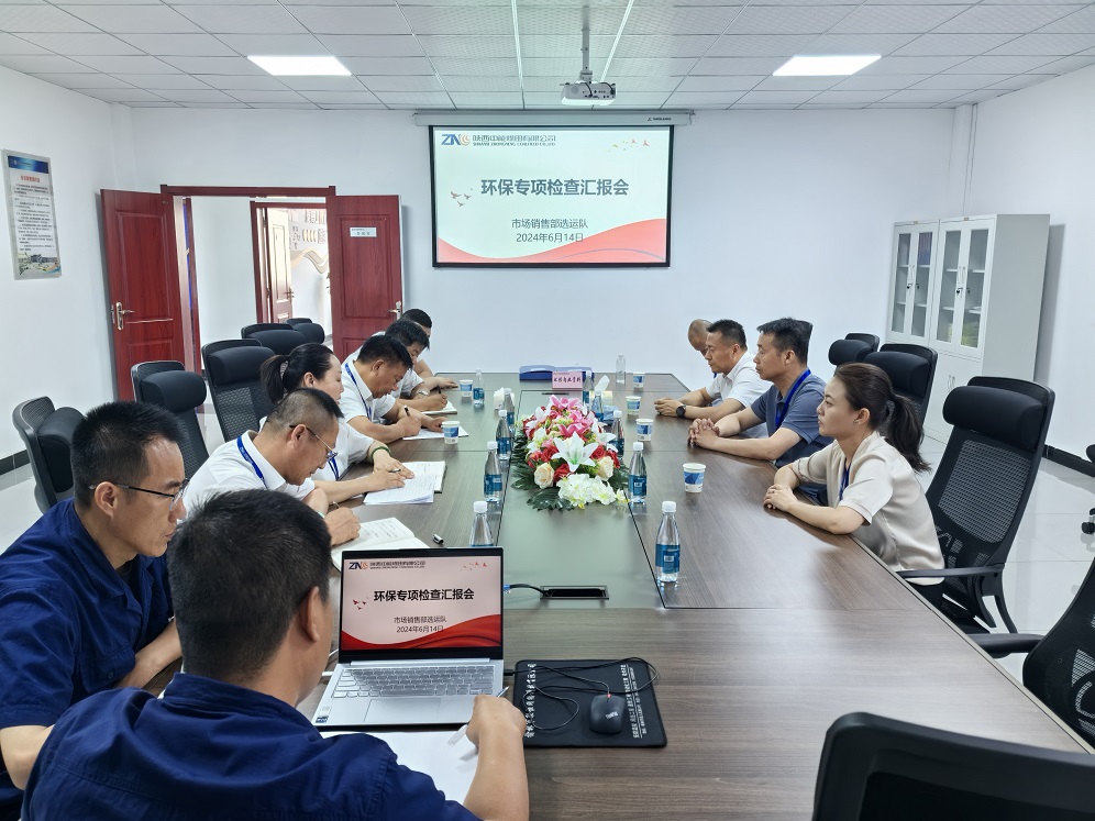 图一 环保专项查抄汇报会  贺晓兰   摄.jpg