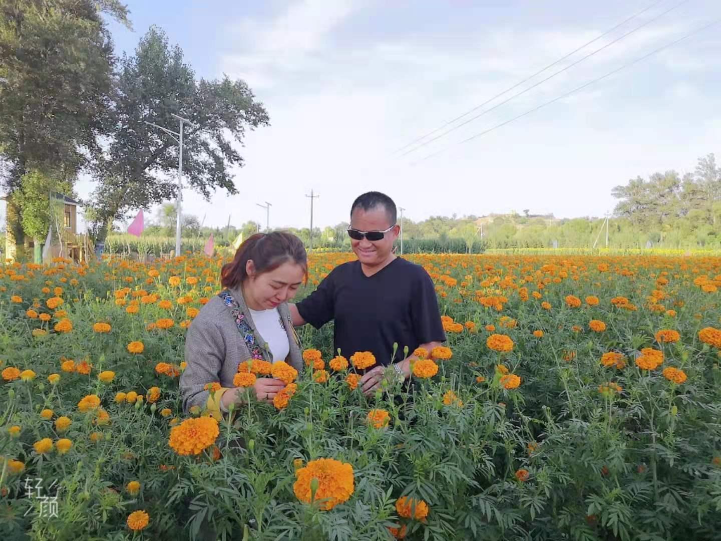 DB电竞(DBGame)官方网站